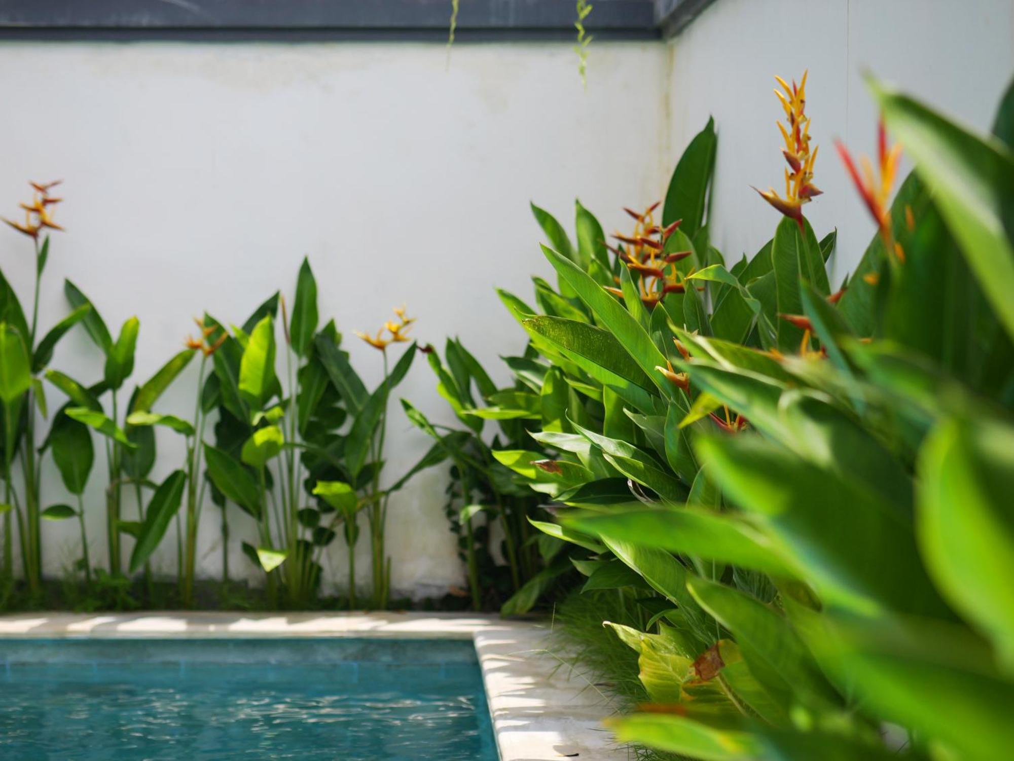 Ken Ken Guest House Seminyak Extérieur photo